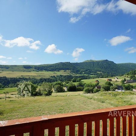 Chalet De Solene Chambon-sur-Lac Kültér fotó