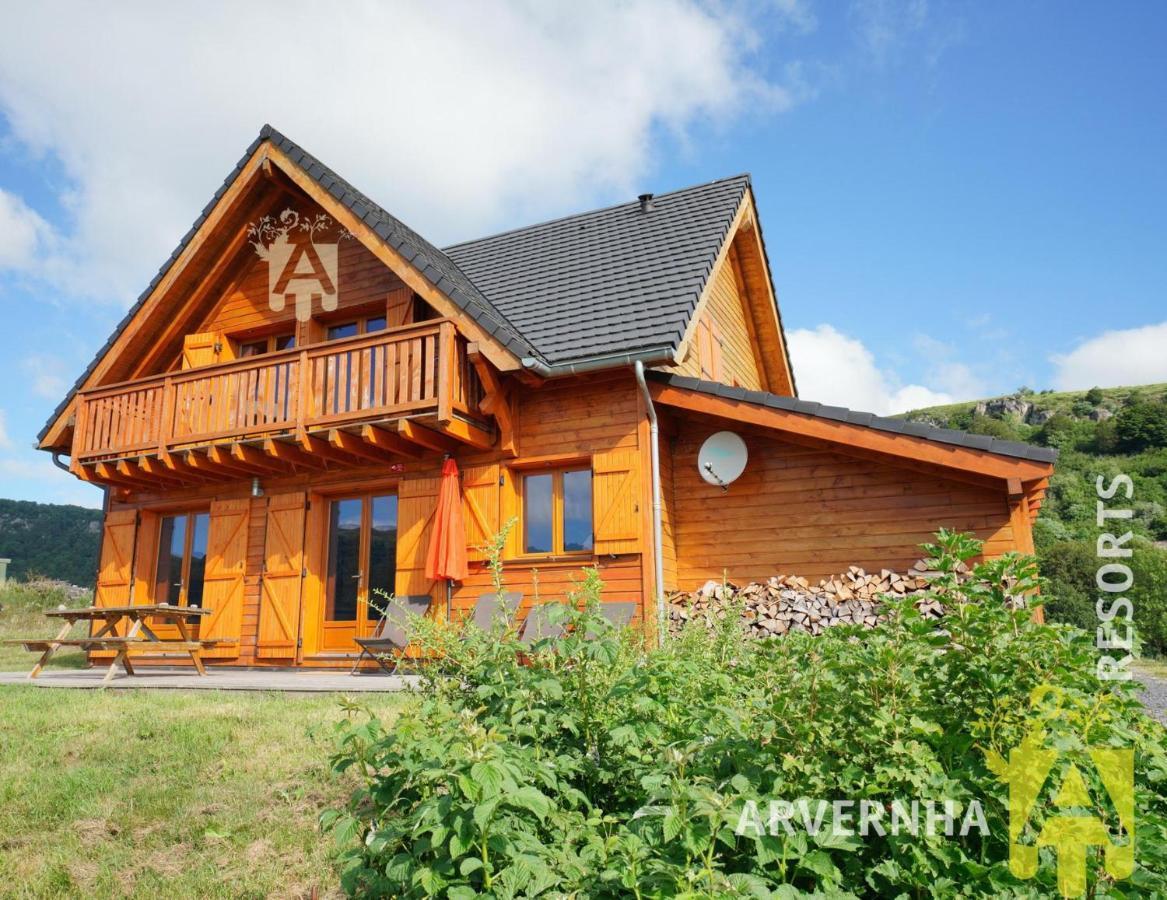 Chalet De Solene Chambon-sur-Lac Kültér fotó